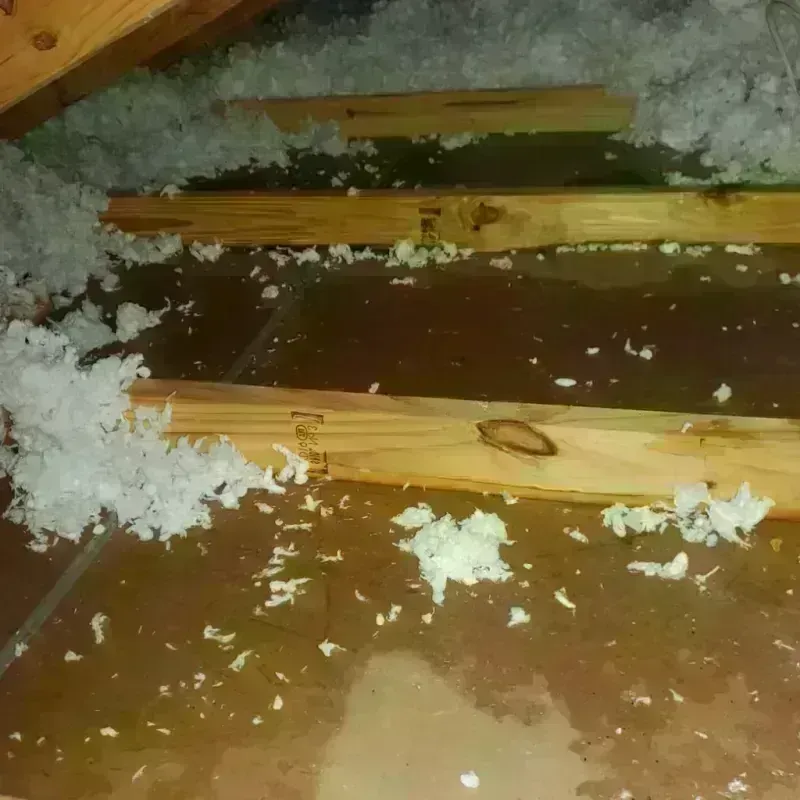 Attic Water Damage in Wilberforce, OH