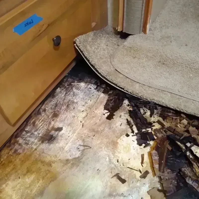 Best Wood Floor Water Damage Service in Wilberforce, OH